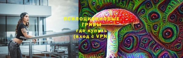 меф Арсеньев