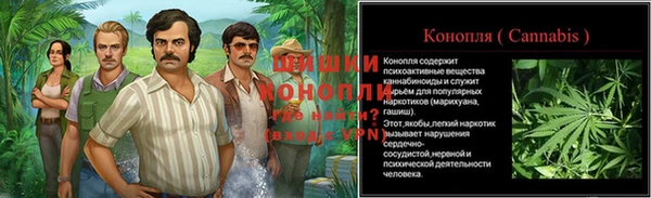 меф Арсеньев