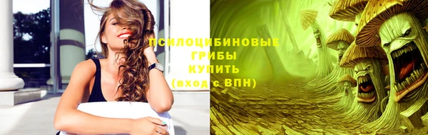 гидропоника Аркадак